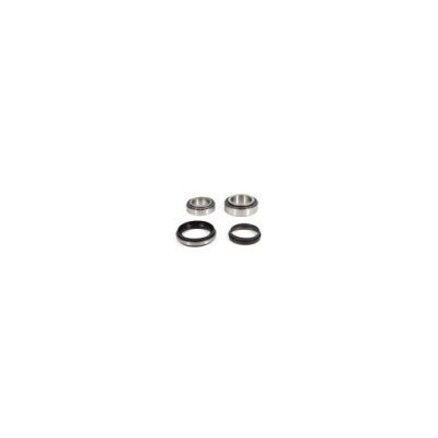 Kit cuscinetti mozzo anteriore - Nissan Patrol GR Y60/Y61