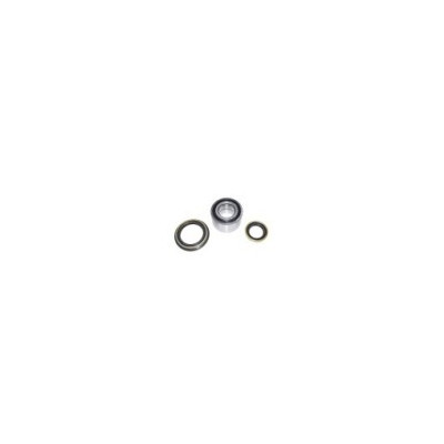 Kit cuscinetto mozzo posteriore - Nissan Patrol GR Y60/Y61